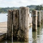Understanding Dock Access Regulations Before You Buy Waterfront Property